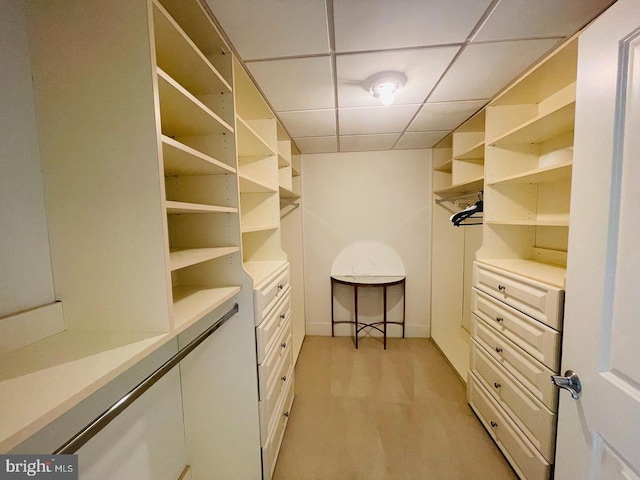 spacious closet with a drop ceiling