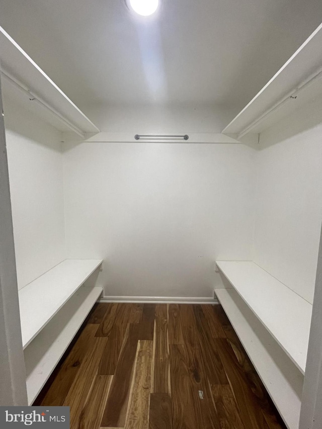 walk in closet featuring dark wood finished floors