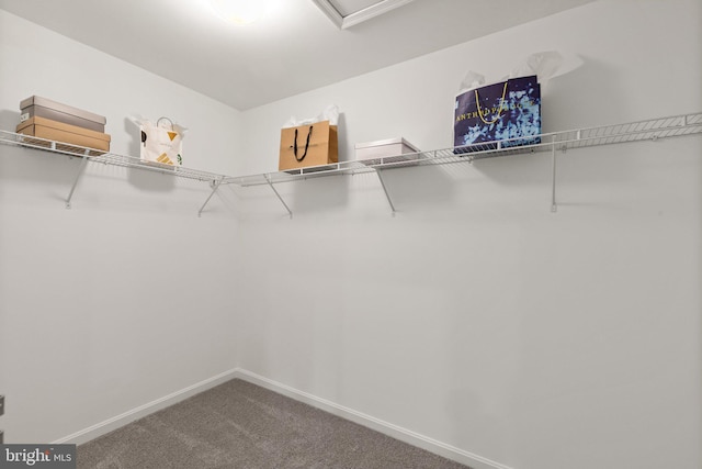 spacious closet featuring carpet flooring