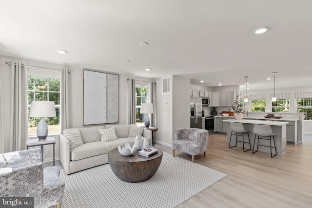 living room with light hardwood / wood-style floors and a healthy amount of sunlight