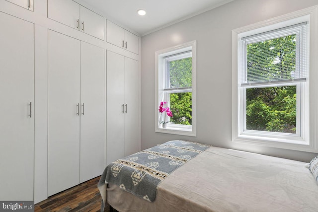 bedroom featuring dark hardwood / wood-style floors