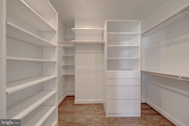 walk in closet featuring light hardwood / wood-style flooring