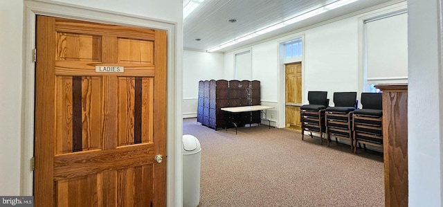 interior space featuring a baseboard radiator and carpet