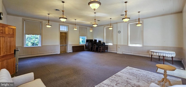 carpeted living room with baseboard heating and plenty of natural light