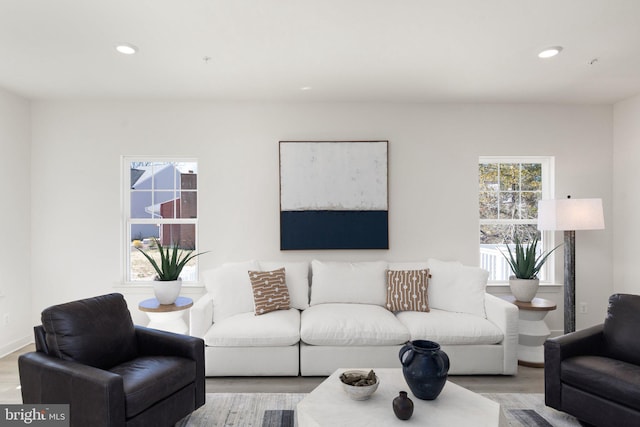 living room with light hardwood / wood-style floors