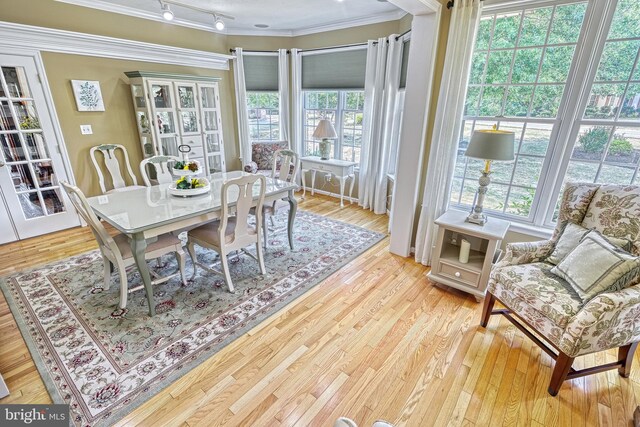 dining area featuring light wood-type flooring, ornamental molding, and track lighting