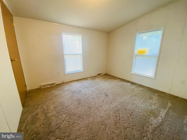 empty room with lofted ceiling, carpet flooring, and a wealth of natural light