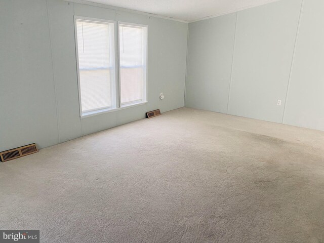 carpeted spare room featuring ornamental molding and plenty of natural light