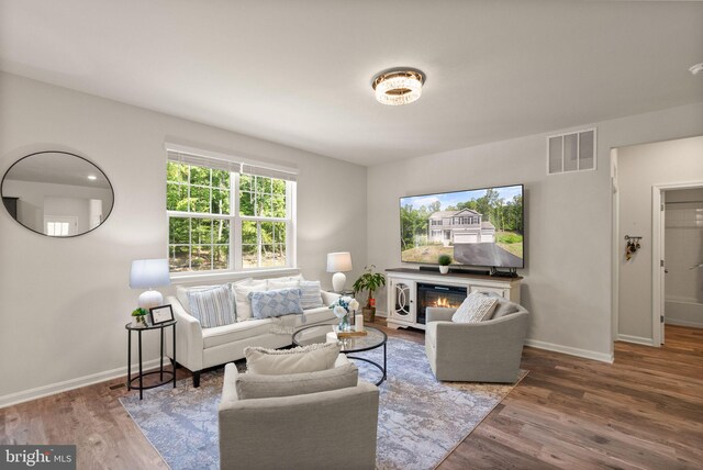 living room featuring wood-type flooring