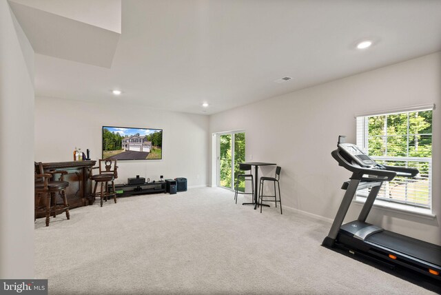 workout area featuring carpet floors