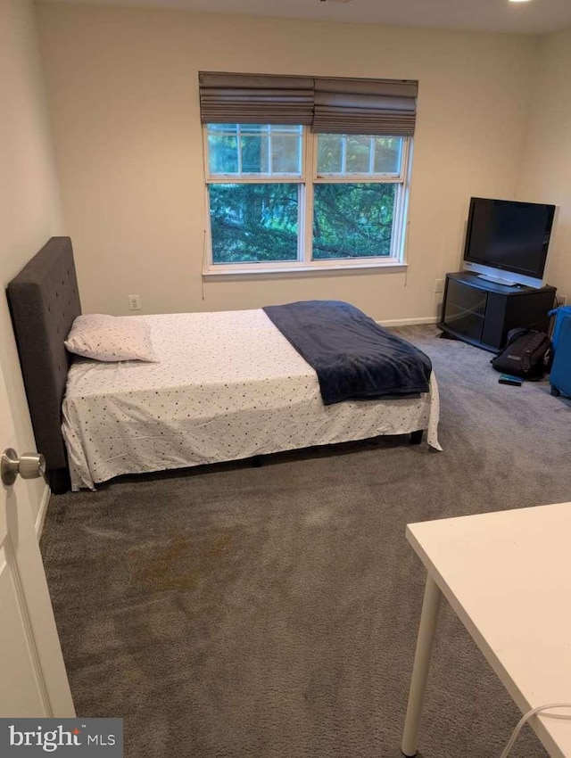 bedroom featuring carpet floors