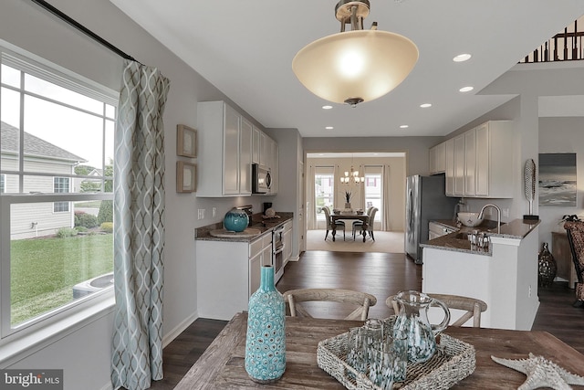 kitchen with a wealth of natural light, stainless steel appliances, dark wood-type flooring, and white cabinets