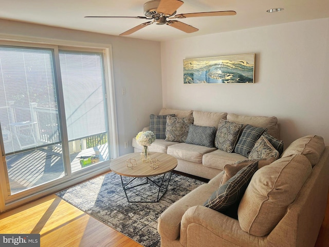 living room featuring ceiling fan and light hardwood / wood-style floors