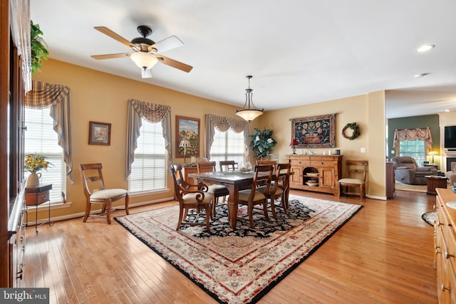 dining area featuring ceiling fan and light hardwood / wood-style flooring