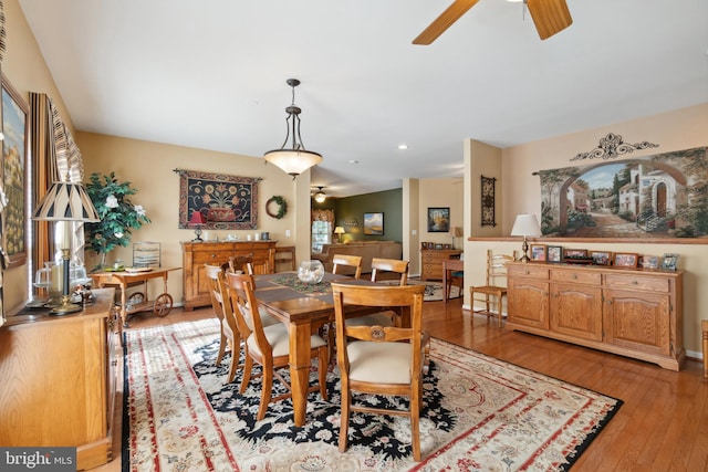 dining area featuring ceiling fan and light hardwood / wood-style flooring