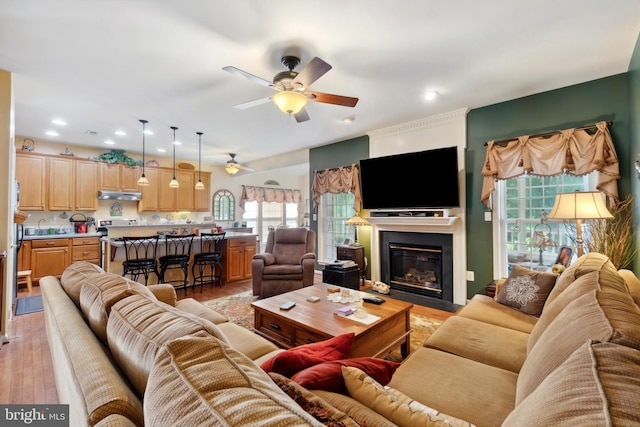 living room featuring ceiling fan, plenty of natural light, light hardwood / wood-style flooring, and sink