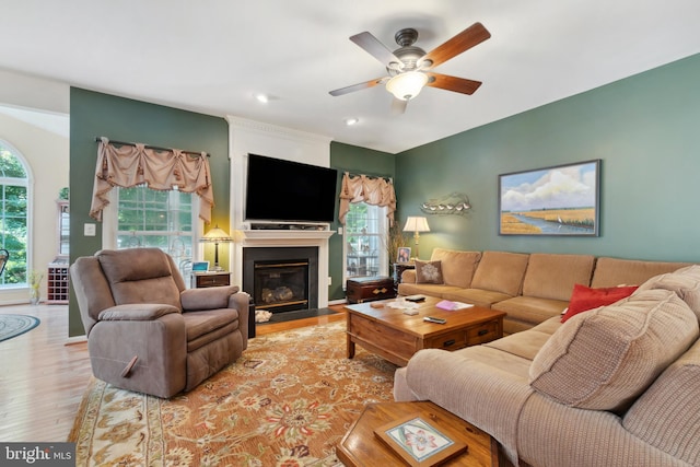 living room featuring ceiling fan and light hardwood / wood-style floors