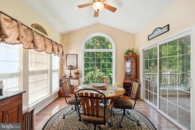 dining room featuring light wood-type flooring and a healthy amount of sunlight