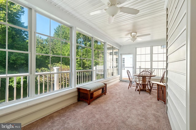 sunroom featuring ceiling fan and plenty of natural light