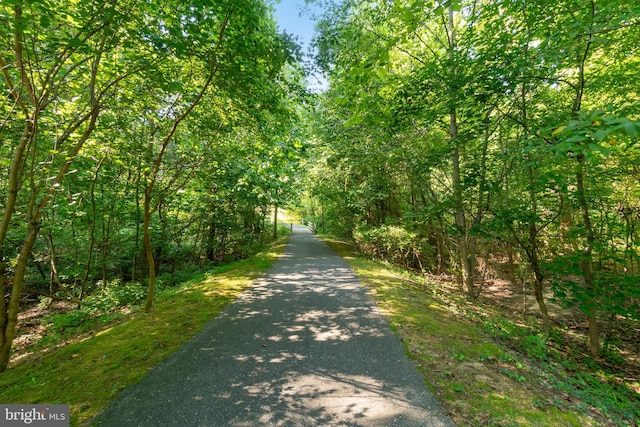 view of road