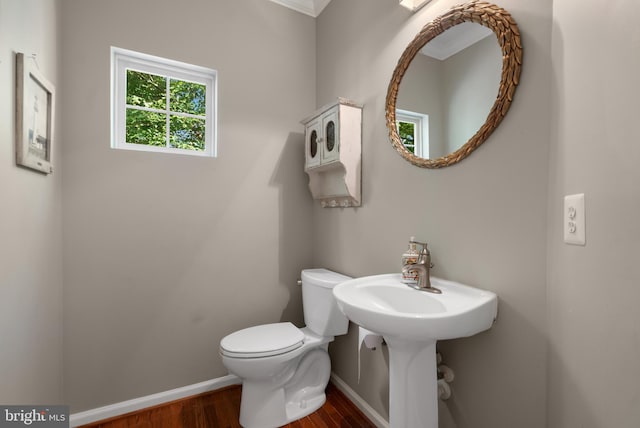 bathroom with toilet and wood-type flooring