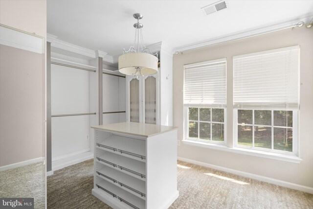 walk in closet featuring carpet floors