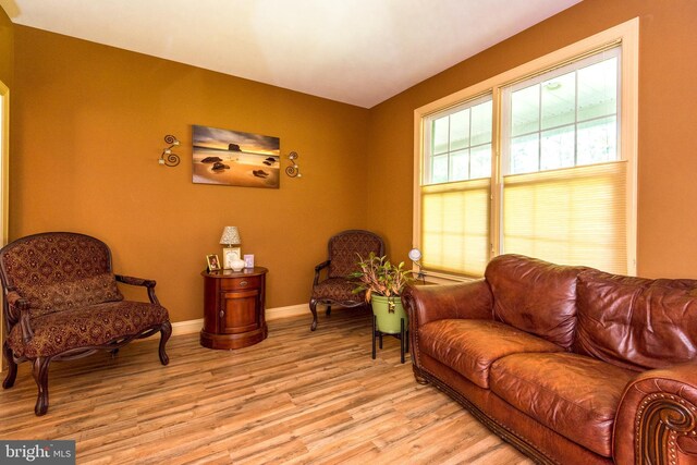 living room featuring light hardwood / wood-style flooring