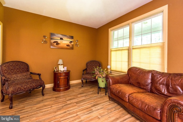 living area with baseboards and light wood-style floors