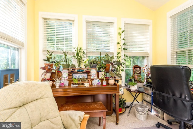 office area featuring a healthy amount of sunlight and vaulted ceiling