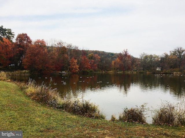 water view with a view of trees