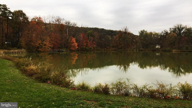 property view of water featuring a view of trees