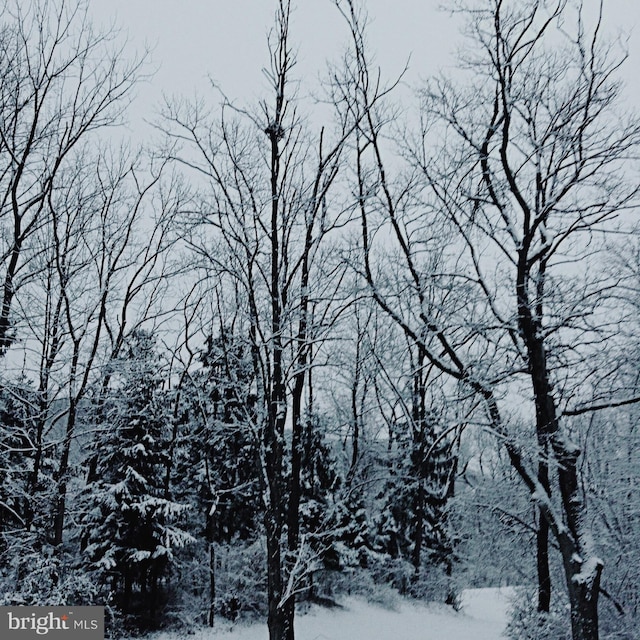 view of snow covered land