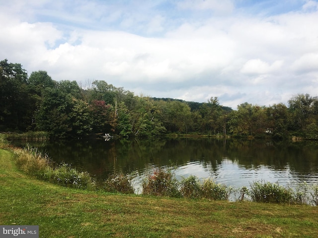 property view of water with a wooded view