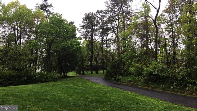 view of community with a lawn