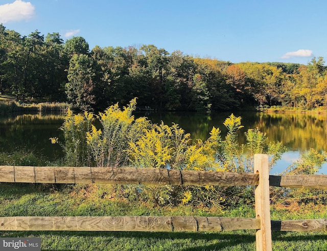 property view of water with a view of trees