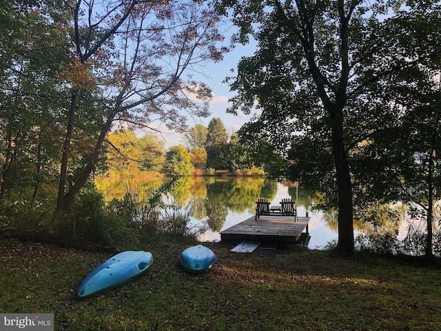 dock area with a water view