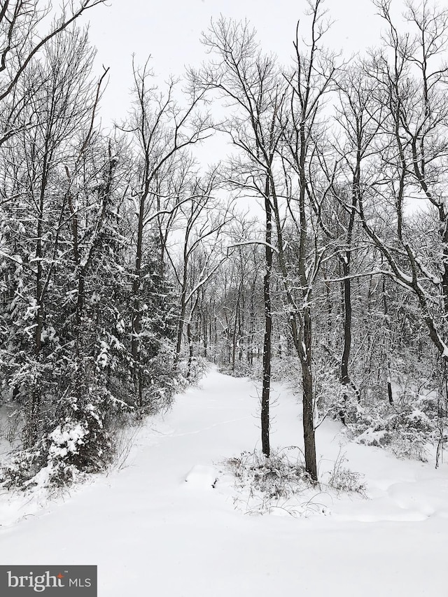 view of snow covered land