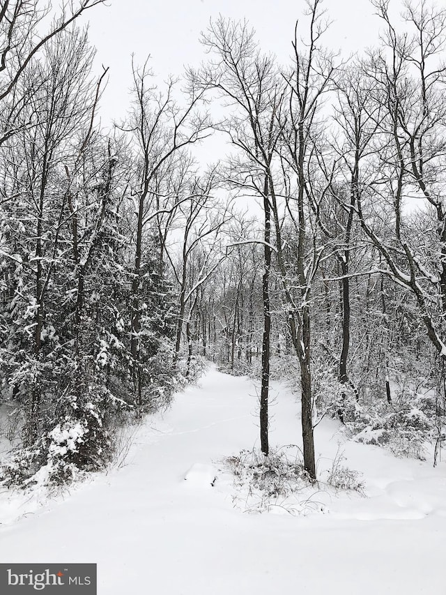 view of snowy view