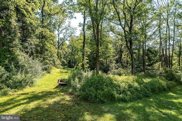 view of landscape with a wooded view