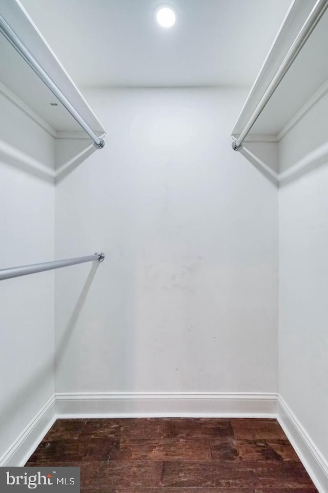 spacious closet with wood-type flooring