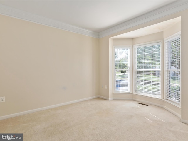 carpeted spare room with ornamental molding and a wealth of natural light