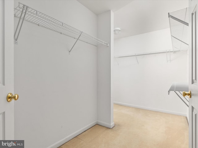 spacious closet with light carpet