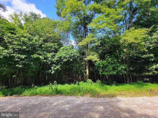 0 Whitetail Crossings Rd, Tamaqua PA, 18252 land for sale