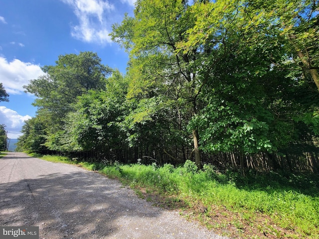 Listing photo 2 for 0 Whitetail Crossings Rd, Tamaqua PA 18252