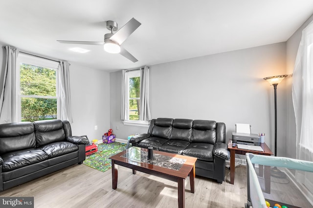 living room featuring ceiling fan and light wood-type flooring