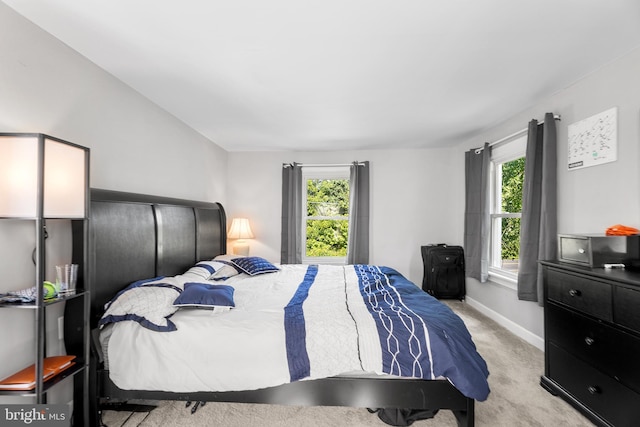 carpeted bedroom with multiple windows