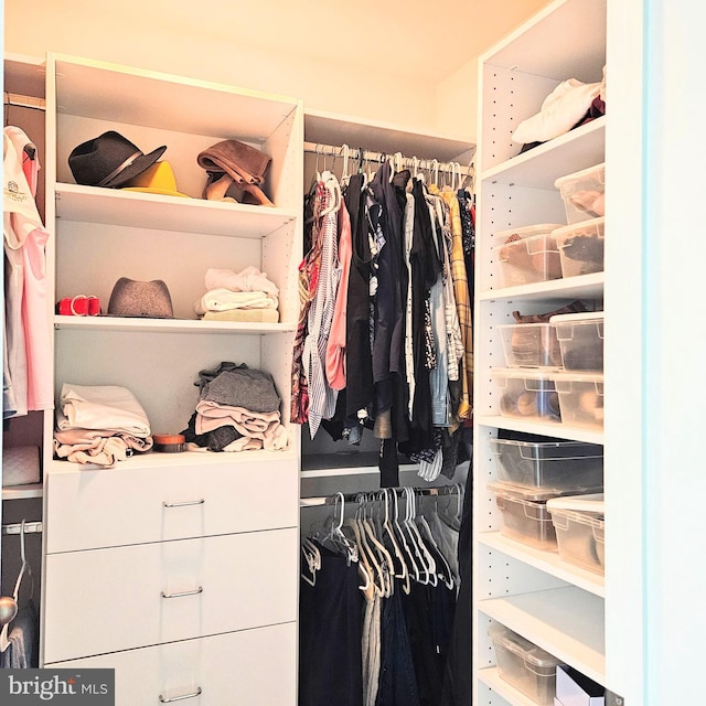 view of walk in closet