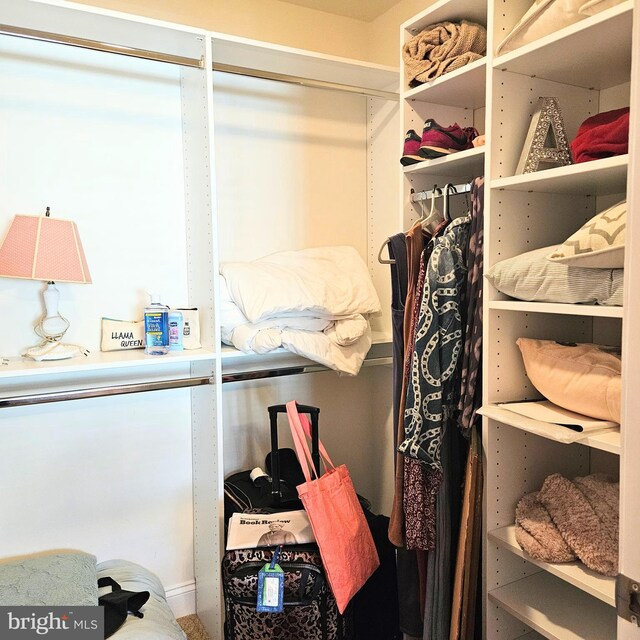 view of spacious closet