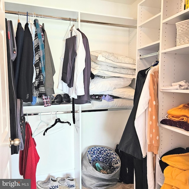 view of spacious closet