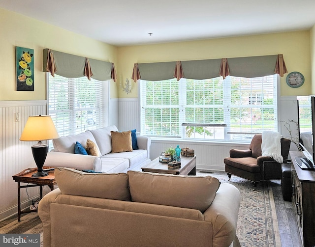 living room with hardwood / wood-style floors and plenty of natural light